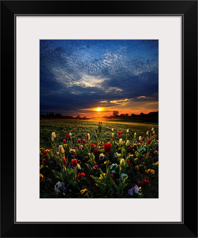 Idyllic countryside scene under a blanket of blue clouds.