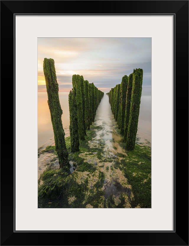 Moss covered pier posts stuck in the water jetting out into the distance.