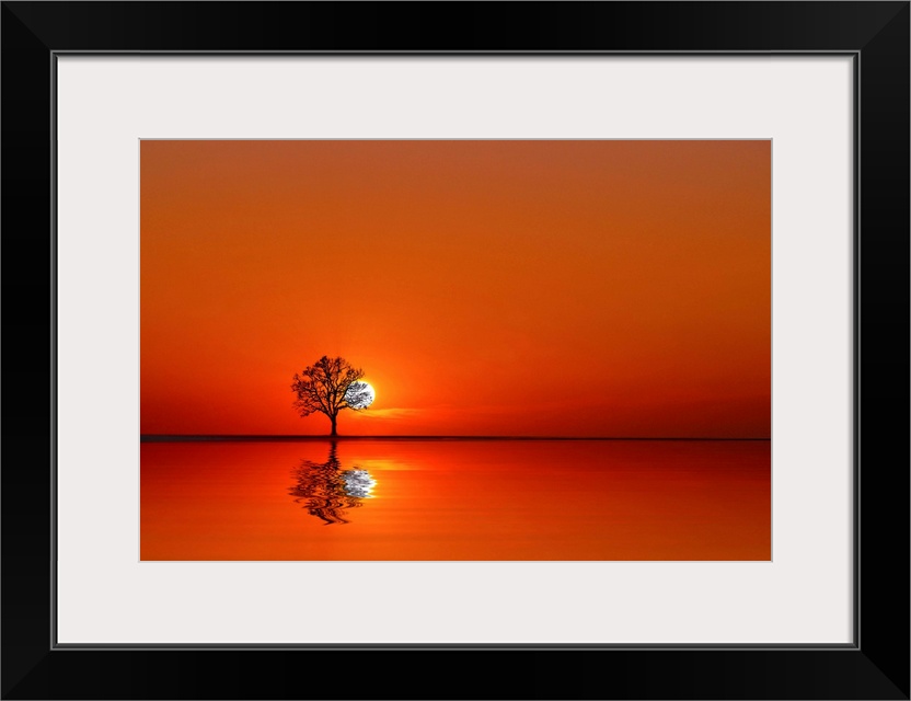 A single tree on the horizon partially obscuring the sun, mirrored in the lake.