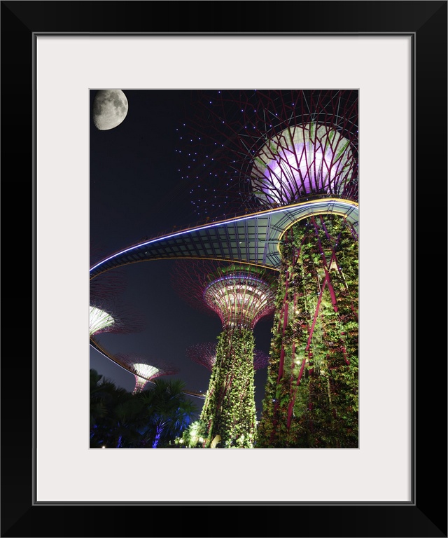 Beautiful tree-like structures in the city of Singapore.