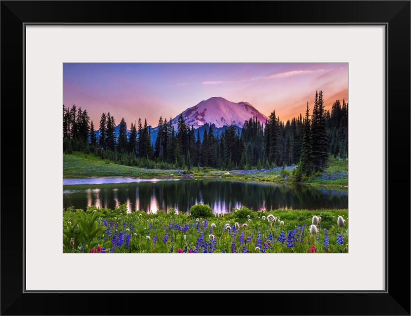 Flowers along the edge of a lake with Mount Rainier in the distance, at sunset.