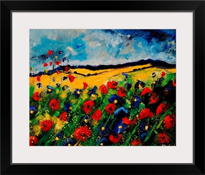 Red And Blue Poppies 45