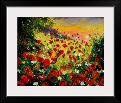 Red Poppies 56