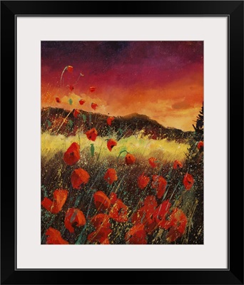 Red Poppies 67