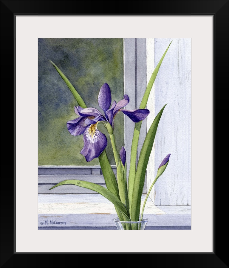Blue flag - wild iris