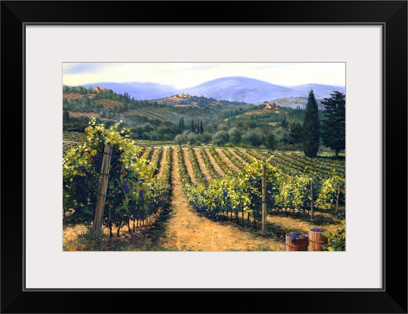 Tuscan Vines