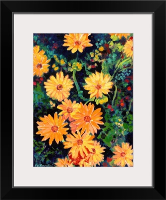 Golden Chrysanthemums