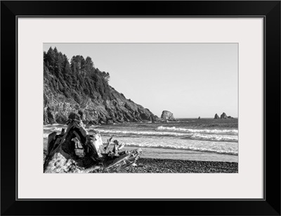 Black and White Landscape at La Push Beach, Washington