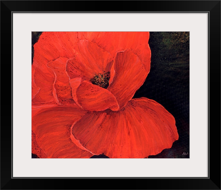 A decorative accent for the home or office this painting is a poppy with its petals spread wide on a dark backdrop.