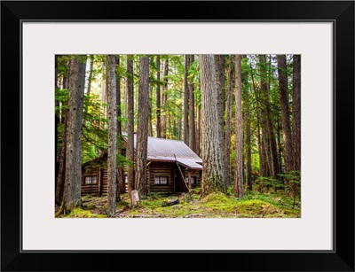 Cabin In The Woods, Mount Rainier National Park, Washington