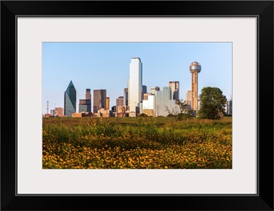 Dallas Skyline With Wildflowers, Texas