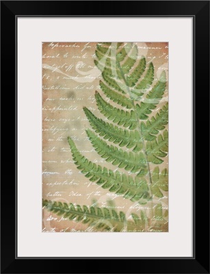 Fern in the Countryside