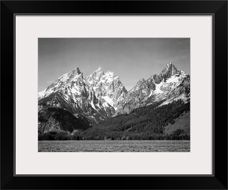Grand Teton, grassy valley, tree covered mountain side and snow covered peaks.
