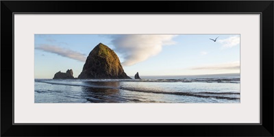 Haystack Rock with Bird Flying - Panoramic