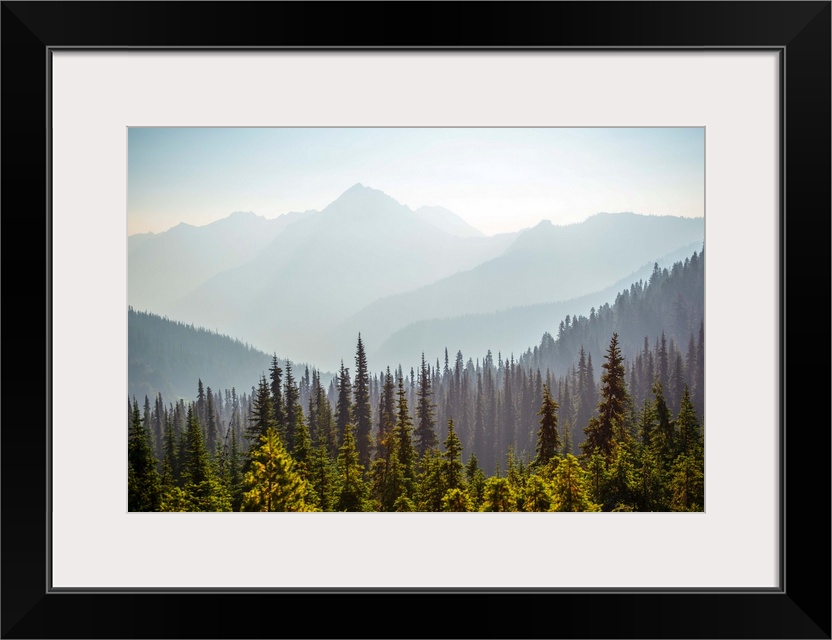 View of Hurricane Ridge with Mount Angeles in the background, Olympic National Park, Washington.