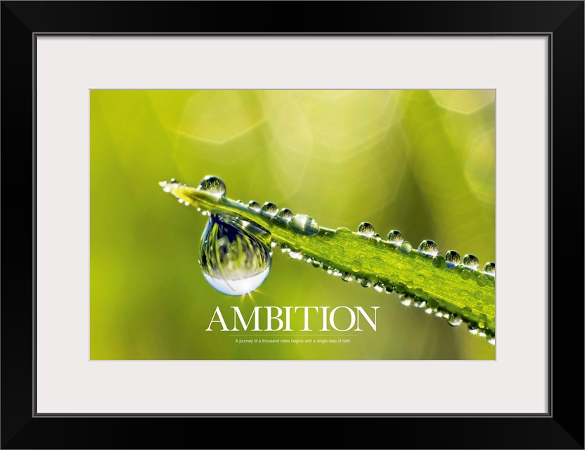 Big, landscape, inspirational artwork of a single, pointy leaf covered in dew drops, one large drop about to fall from the...