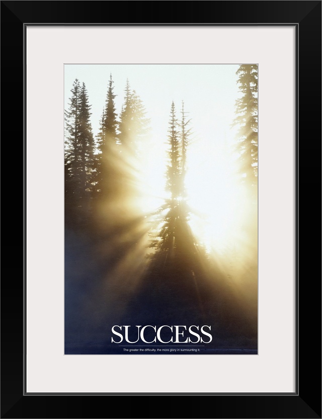 This inspirational poster shows the sun shining through a forest of pine trees with the word "Success" written below in bo...