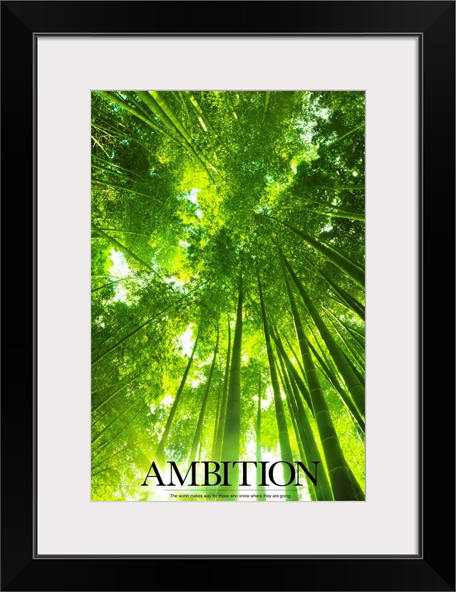 Photograph taken while lying on the ground in a forest and looking straight up through the trees. It has the word Ambition...
