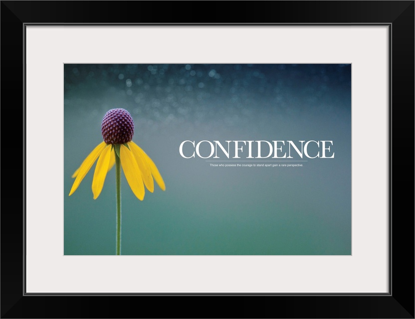 Art work to inspire and motivate this horizontal photograph shows a single flower and an out of focus background.