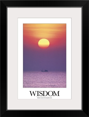 Inspirational Motivational Poster: Wisdom comes to the inquisitive mind