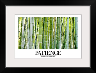 Inspirational Poster: Adopt the pace of nature; her secret is patience