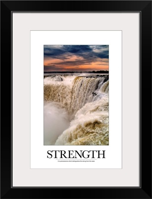 Inspirational Poster: It is perseverance which distinguishes the strong from the weak