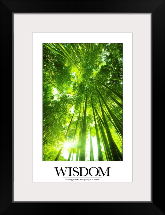 Wisdom: Knowing yourself is the beginning to all wisdom.