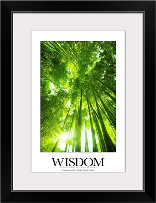 Inspirational Poster:  Knowing yourself is the beginning to all wisdom