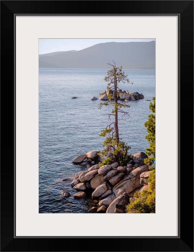 A lone tree has grown out of rocky shore at Lake Tahoe in California and Nevada.