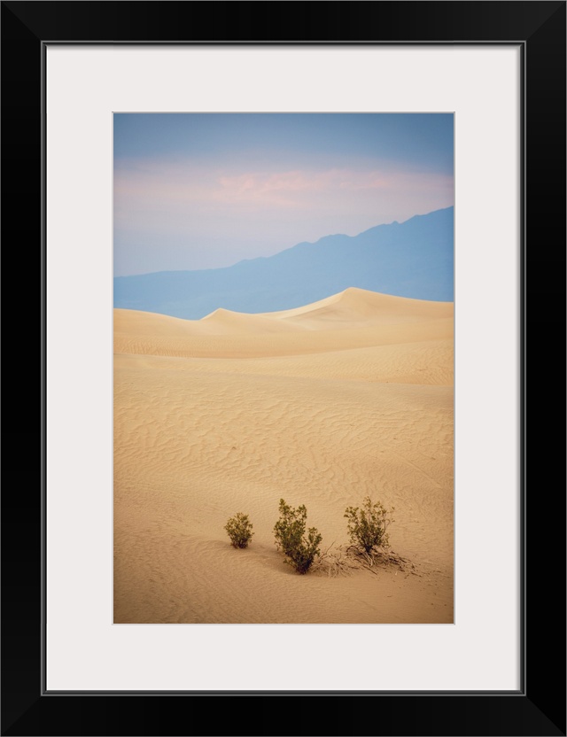 View of crescent dunes in Mesquite Flat Sand Dunes of Death Valley, California.