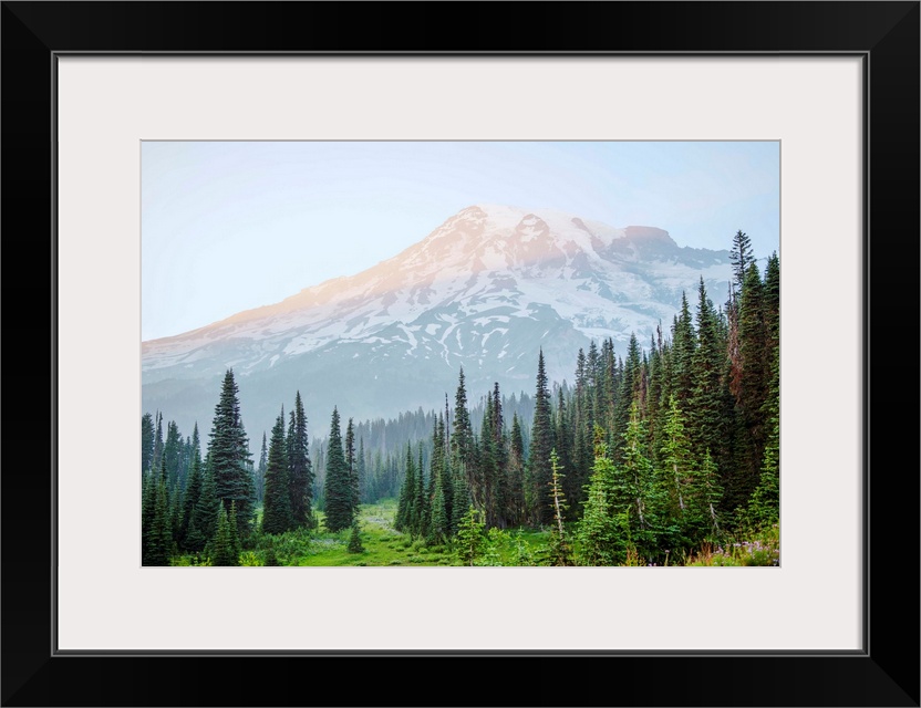 View of Mount Rainier's peak in Mount Rainier National Park, Washington.