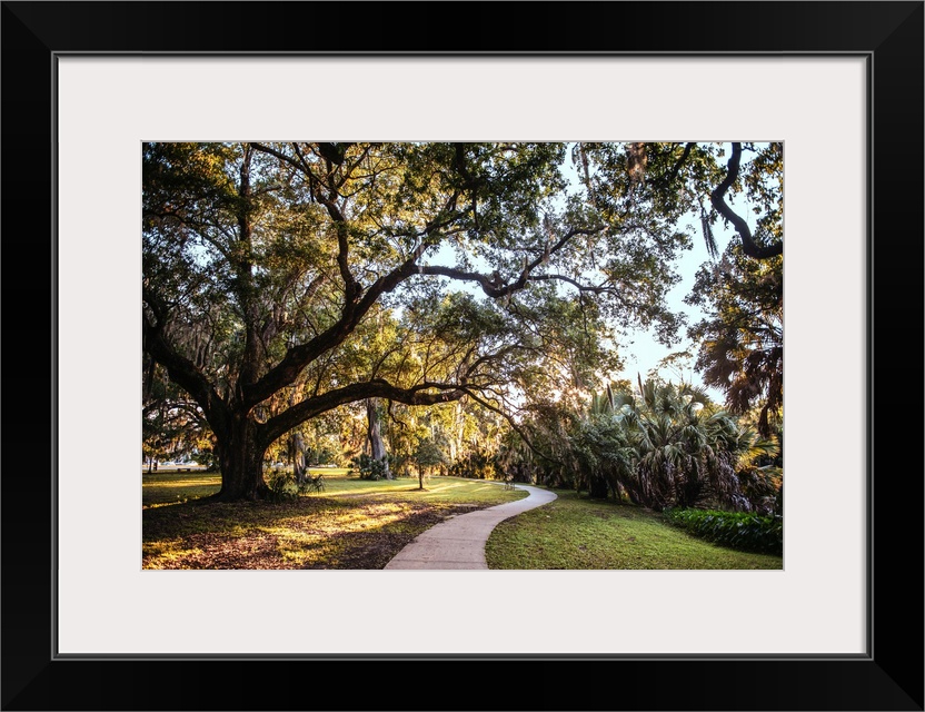 Old trees surround a walkway in a New Orleans park in Louisiana.