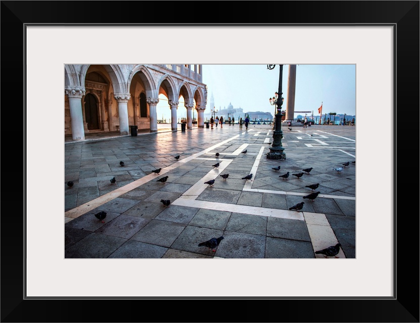 Photograph of the pigeons at St. Mark's square in Venice, Italy.
