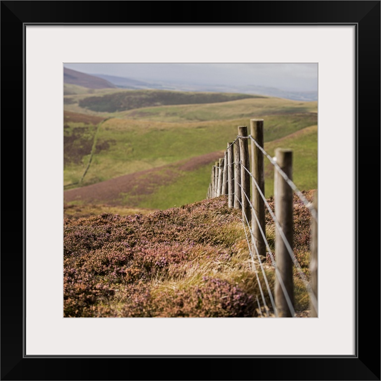 Square photograph of a fence running though rolling hills in an Edinburgh countryside, Scotland, UK