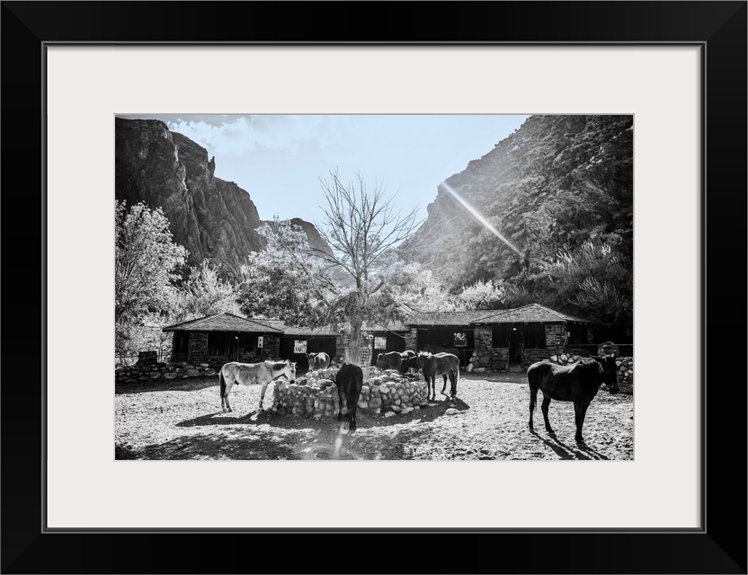 Stable near Bright Angel Trail in Grand Canyon National Park, Arizona.