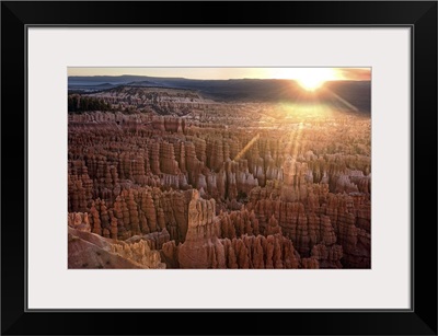 The sun on the horizon shining on the hoodoos in Bryce Canyon Amphitheater, Utah