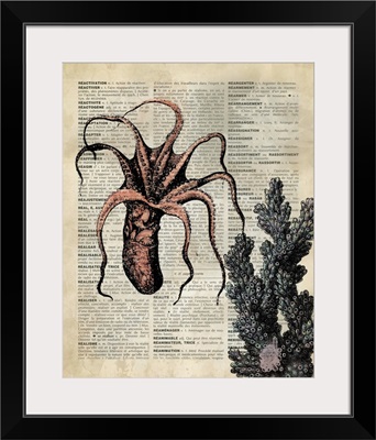 Vintage Dictionary Art: Octopus