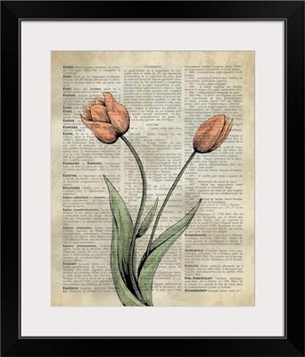 Vintage Dictionary Art: Tulips