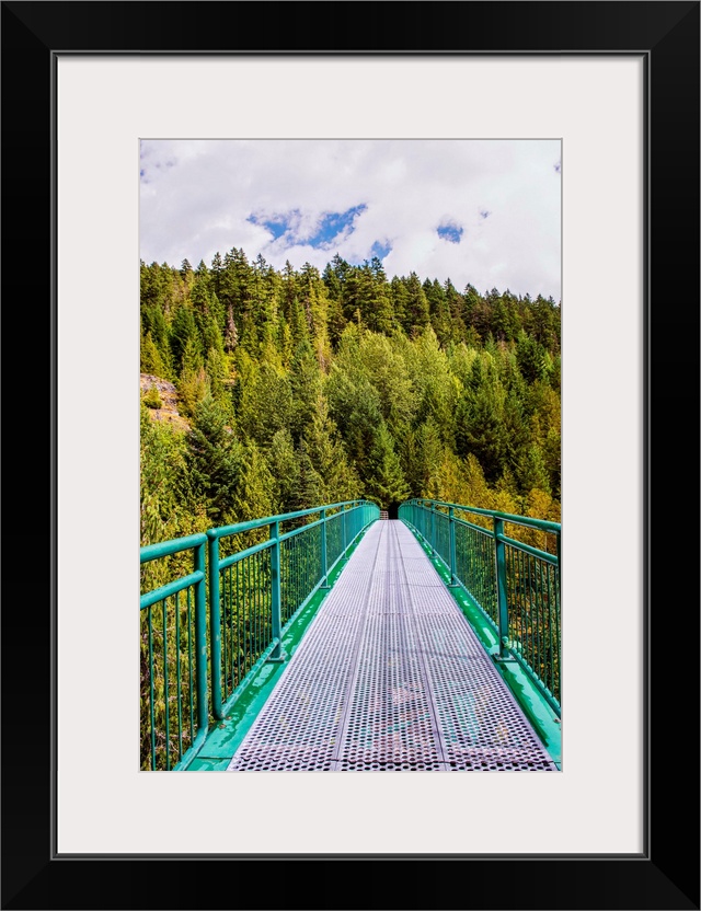 Whistler Bungee Bridge in Whistler, British Columbia, Canada.