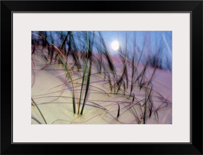 A view of a full moon rising above a sand dune on Cumberland Island