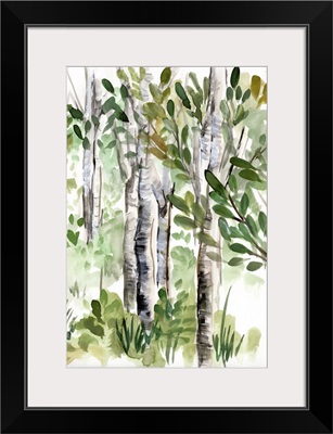 Birch Forest II