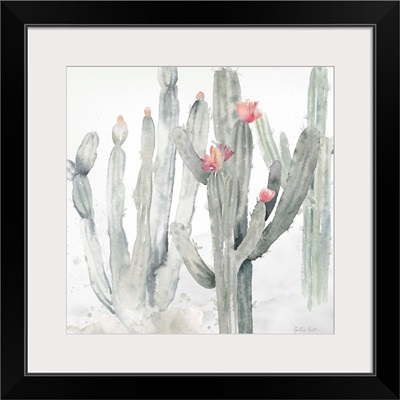 Cactus Garden Gray Blush II