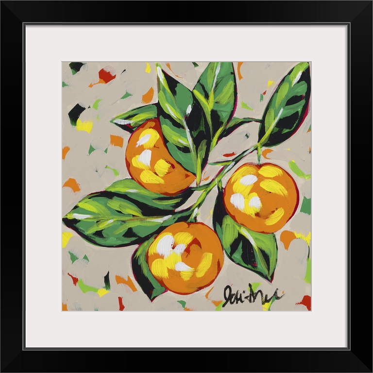 Fruit Sketch Oranges