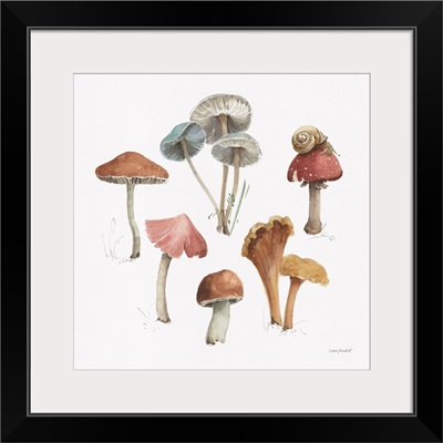 Mushroom Medley 02