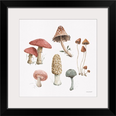 Mushroom Medley 03