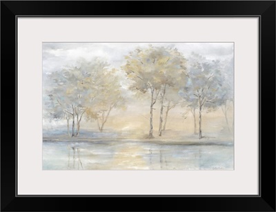 Serene Scene Trees Landscape