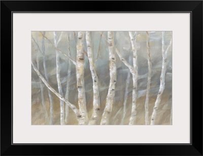 Silver Birch Landscape