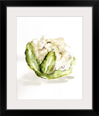 Veggie Sketch Plain VI - Cauliflower