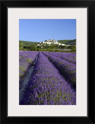 A Field Of Lavender Below The Town Of Banon, Provence, France