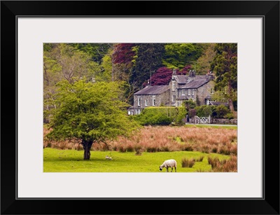 A house amongst the woodland, Cumbria, England, UK